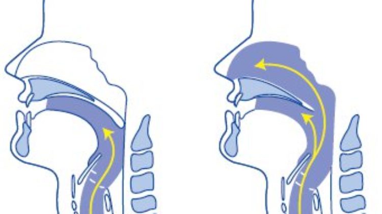 La pronuncia delle vocali nasali. Alcuni trucchi