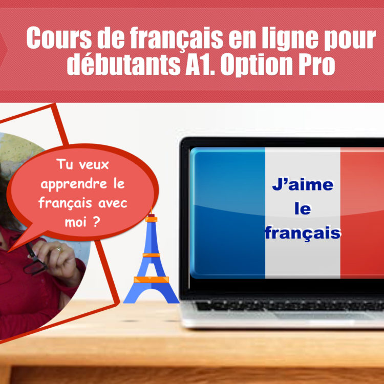 Cours de français en ligne complet pour débutants. Option Pro