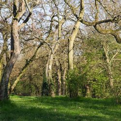 Vivre à la campagne, les différents paysages