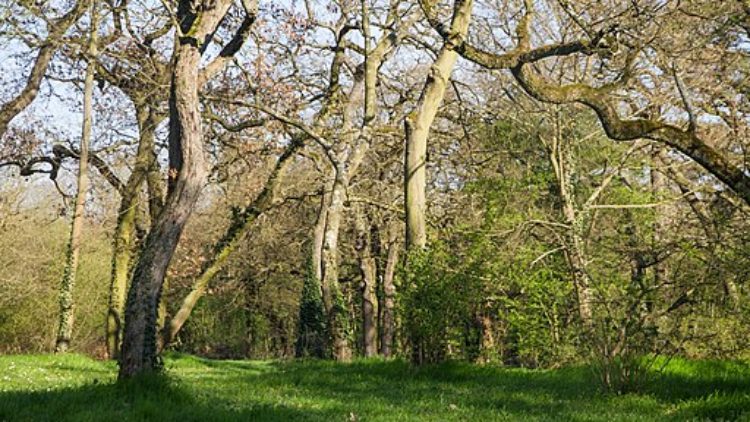 Vivre à la campagne, les différents paysages